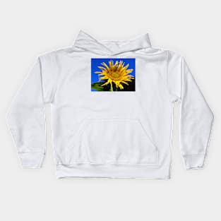 alb sunflower Kids Hoodie